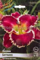 Лилейник Беттилен (в пакете 1 шт) корневищные (Голландия)