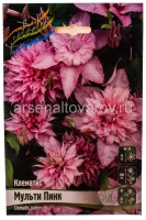 Клематис махровый Мульти Пинк (в пакете 1 шт) корневищные (Голландия)