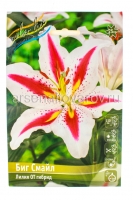Лилия восточная Биг Смайл (в пакете 5 шт) цена за пакет луковичные (Голландия)