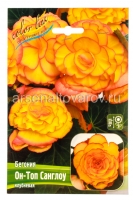 Бегония Он Топ Санглоу (в пакете 2 шт) цена за пакет клубневые (Голландия)