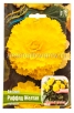 Бегония Раффлд желтая (в пакете 2 шт) цена за пакет клубневые (Голландия) 