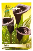 Калла Ла Паз (в пакете 2 шт) цена за пакет клубневые (Голландия)