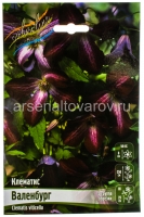 Клематис Валенбург (в пакете 2 шт) цена за пакет корневищные (Голландия)