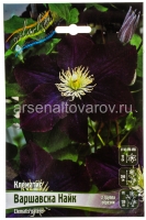 Клематис Варшавска Найк (в пакете 2 шт) цена за пакет корневищные (Голландия)