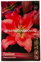 Лилия азиатская Прайано (в пакете 5 шт) цена за пакет луковичные (Голландия)