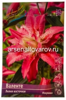 Лилия восточная махровая Валенте (в пакете 5 шт) цена за пакет луковичные (Голландия)