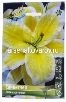 Лилия восточная Санкетчер (в пакете 5 шт) цена за пакет луковичные (Голландия)