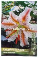 Лилия восточная Свадебный марш (в пакете 3 шт) цена за пакет луковичные (Голландия)