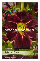 Лилейник Пейнт Ит Блэк (в пакете 1 шт) корневищные (Голландия)