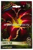 Лилейник Снэггл Туф (в пакете 1 шт) корневищные (Голландия)