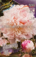 Пион махровый Мистер Эд (в пакете 1 шт) корневищные (Голландия)