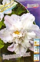 Клематис махровый Вероника Чойс (в пакете 2 шт) цена за пакет корневищные (Голландия)