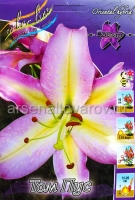 Лилия восточная Том Пус (в пакете 5 шт) цена за пакет луковичные (Голландия)