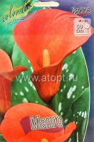 Калла Манго (в пакете 2 шт) цена за пакет клубневые (Голландия)