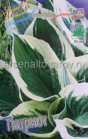 Хоста Патриот (в пакете 1 шт) корневищные (Голландия)