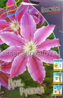 Клематис Док. Руппел (в пакете 2 шт) цена за пакет корневищные (Голландия)