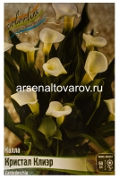 Калла Кристал Клиэр (в пакете 2 шт) цена за пакет клубневые (Голландия)