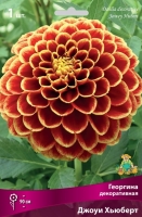 Георгина шаровидная Джоуи Хьюберт (в пакете 1 шт) клубневые (Голландия)