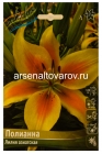 лилия азиатская Полианна (в пакете 7 шт) цена за пакет луковичные (Голландия)