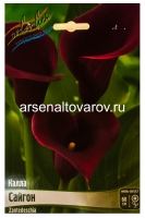 Калла Сайгон (в пакете 2 шт) цена за пакет клубневые (Голландия)