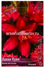 лилия восточная махровая Лакки Куин (в пакете 5 шт) цена за пакет луковичные (Голландия)