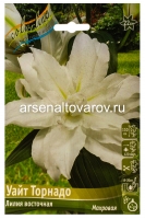 Лилия восточная махровая Уайт Торнадо (в пакете 5 шт) цена за пакет луковичные (Голландия)