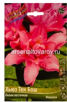 Лилия восточная махровая Хьюз Тен Бош (в пакете 5 шт) цена за пакет луковичные (Голландия)