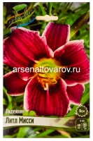 Лилейник Литл Мисси (в пакете 1 шт) корневищные (Голландия)