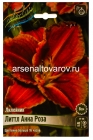 лилейник Литл Анна Роза (в пакете 1 шт) корневищные (Голландия)