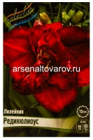 Лилейник махровый Редикюлиоус (в пакете 1 шт) корневищные (Голландия)