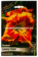Лилейник Саммер Пейнт (в пакете 1 шт) корневищные (Голландия)