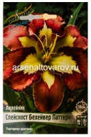 Лилейник Спейскост Бехейвер Паттерн (в пакете 1 шт) корневищные (Голландия)