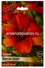 лилейник Фуксия Шарм (в пакете 1 шт) корневищные (Голландия)
