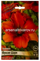 Лилейник Фуксия Шарм (в пакете 1 шт) корневищные (Голландия)