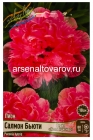 пион махровый Салмон Бьюти (в пакете 1 шт) корневищные (Голландия)