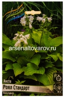 Хоста Роял Стандарт (в пакете 1 шт) корневищные (Голландия)
