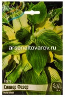 Хоста Силвер Фазер (в пакете 1 шт) корневищные (Голландия)