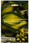 хоста Форбидден Фрут (в пакете 1 шт) корневищные (Голландия)
