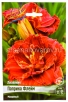 Лилейник махровый Паприка Флейм (в пакете 1 шт) корневищные (Голландия) 