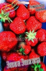 земляника садовая среднеспелая Зенга Зенгана (в пакете 5 шт) цена за пакет саженцы (Голландия)