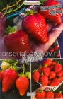 земляника садовая ранняя Альба (в пакете 5 шт) цена за пакет саженцы (Голландия)