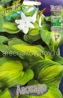 Хоста Авокадо (в пакете 1 шт) корневищные (Голландия)