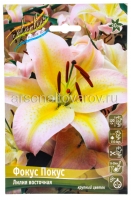 Лилия восточная Фокус Покус (в пакете 5 шт) цена за пакет луковичные (Голландия)