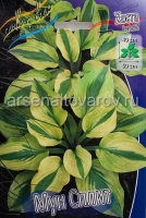 Хоста Мун Сплит (в пакете 1 шт) корневищные (Голландия)