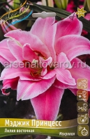 Лилия восточная махровая Мэджик Принцесс (в пакете 5 шт) цена за пакет луковичные (Голландия)