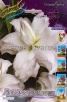 Лилия восточная махровая Лотус Бьюти (в пакете 5 шт) цена за пакет луковичные (Голландия) 