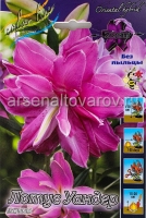 Лилия восточная махровая Лотус Уандер (в пакете 5 шт) цена за пакет луковичные (Голландия)