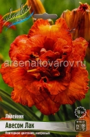 Лилейник махровый Авесом Лак (в пакете 1 шт) корневищные (Голландия)