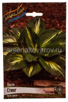 Хоста Стинг (в пакете 1 шт) корневищные (Голландия)