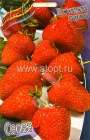 земляника садовая ремонтантная Селва (в пакете 5 шт) цена за пакет саженцы (Голландия)